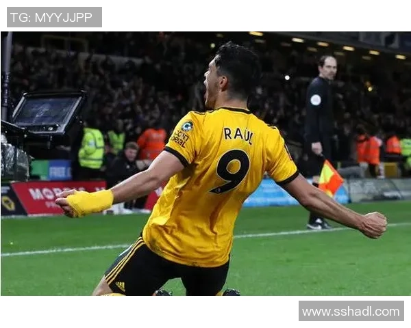 布赖顿与狼队对决前瞻分析及比赛结果预测探讨